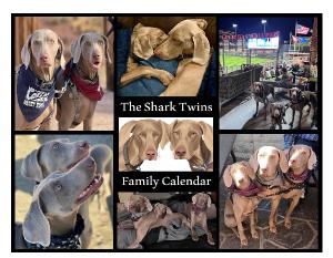 The Shark Twins Family Calendar