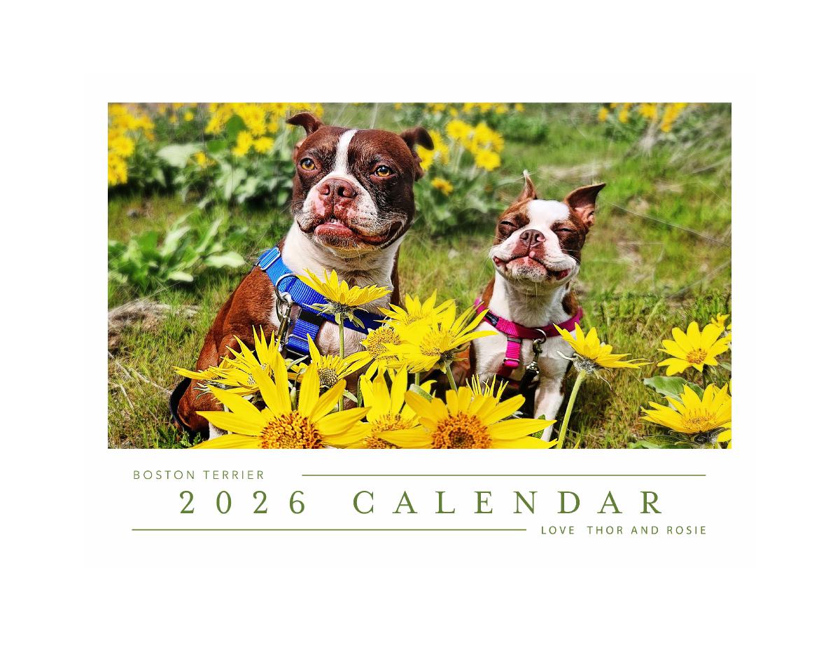 Thor and Rosie 2026 calendar