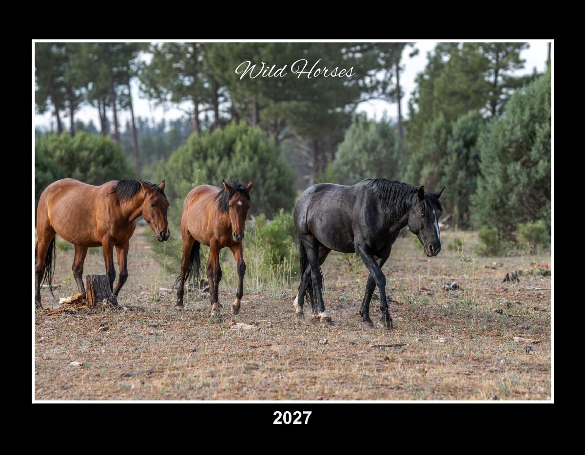 Wild Horses 2027