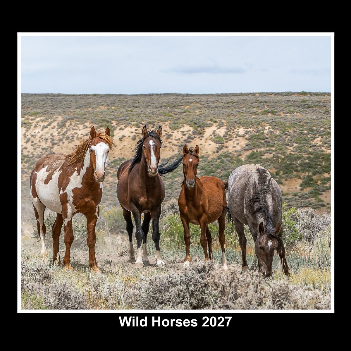 Wild Horse Calendar 2027