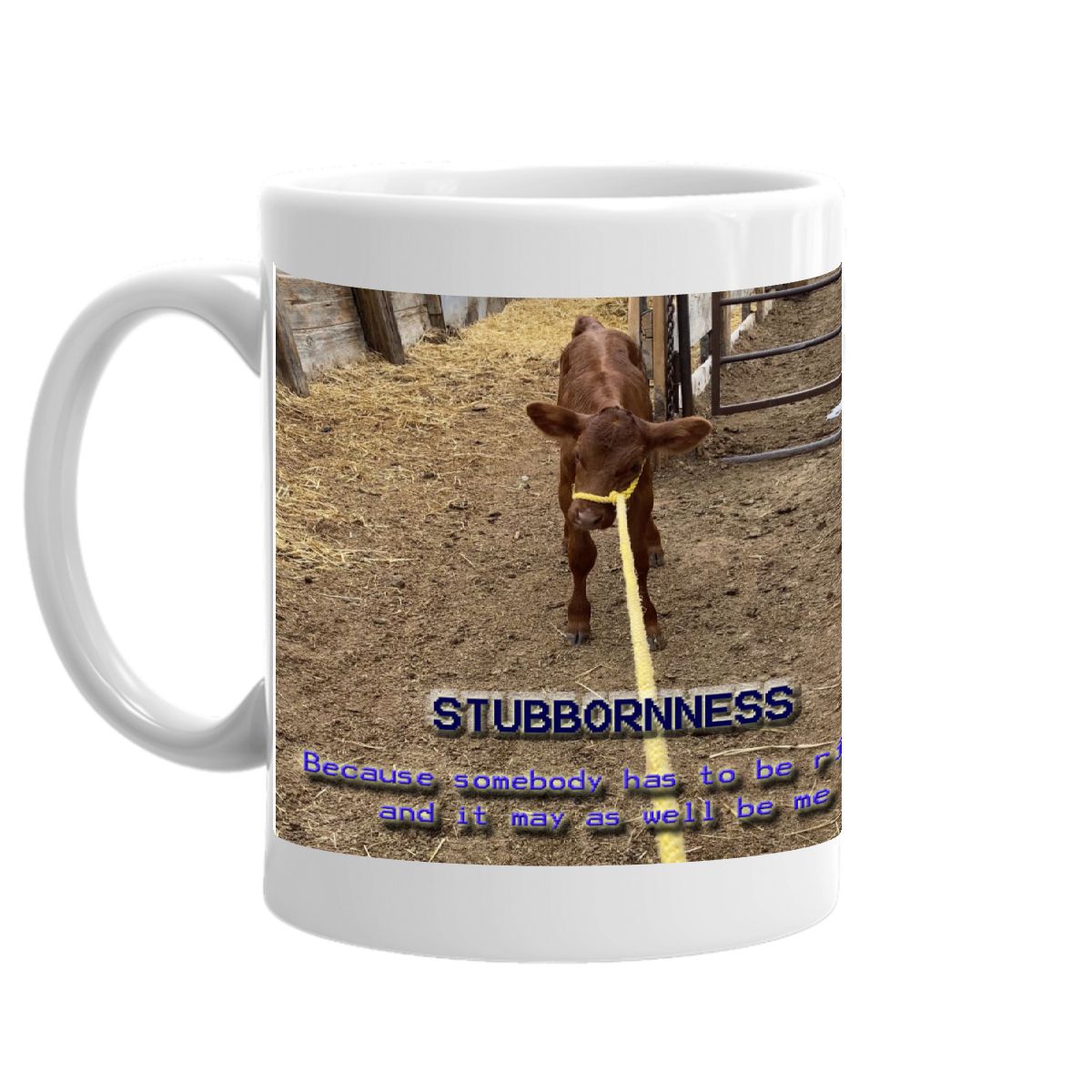 Stubborn Life Failure mug