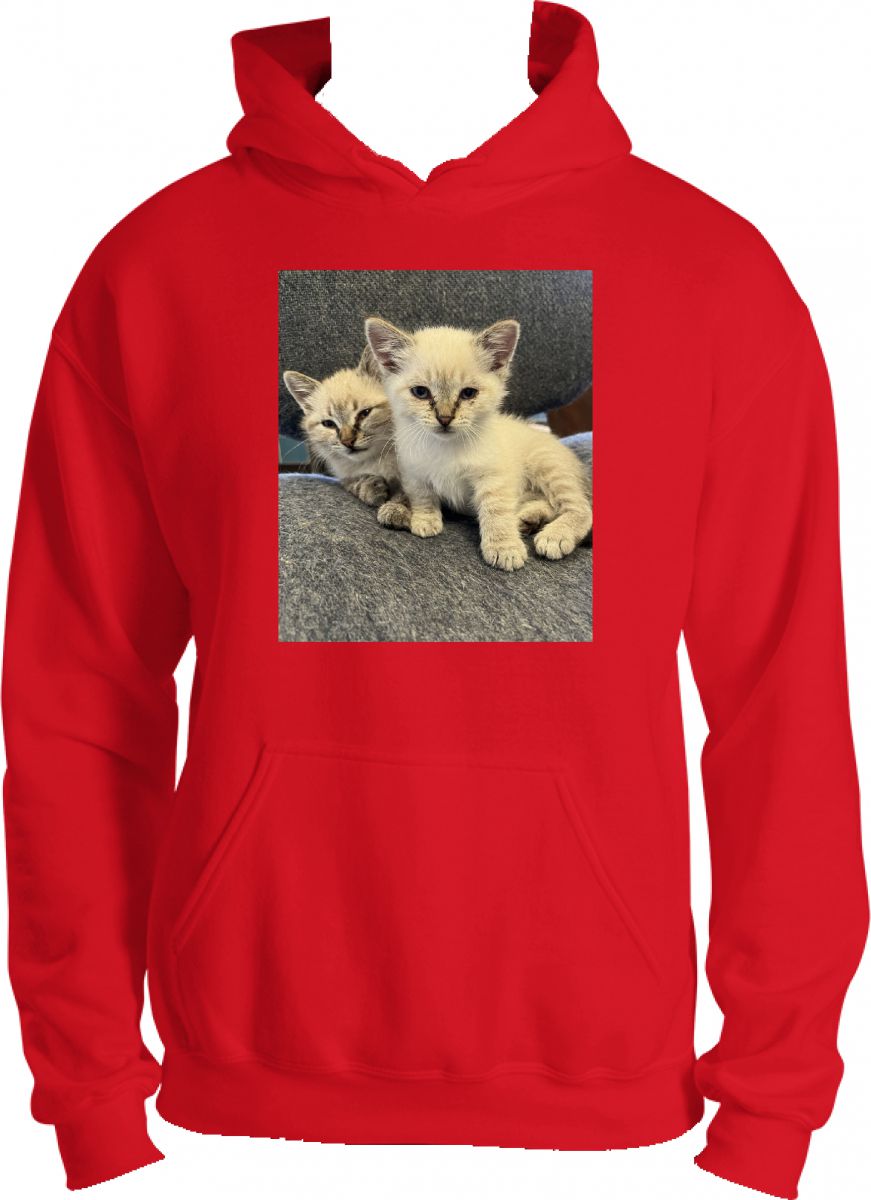 Warm kitties
