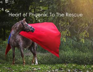 Heart of Phoenix Equine Rescue Super Hero Calendar