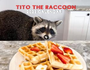 Tito the Raccoon 2022