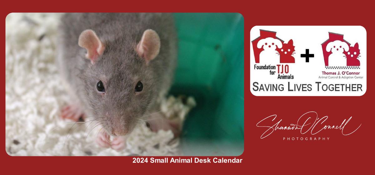 2024 Small Animal Desk Calendar