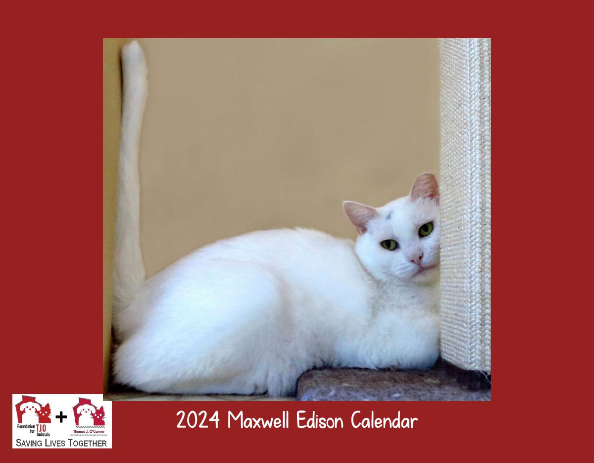 Maxwell Edison 2024 Wall Calendar