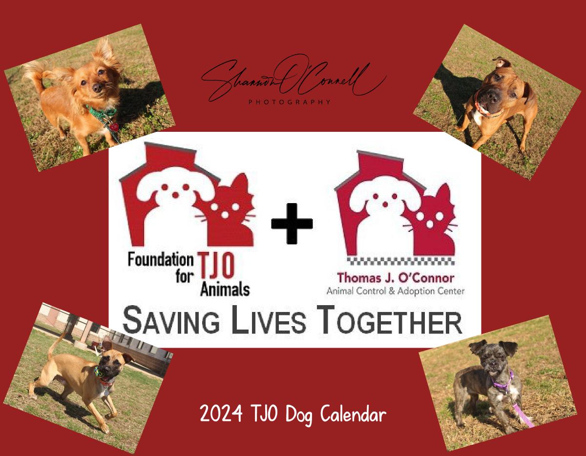 2024 TJO Dog Wall Calendar