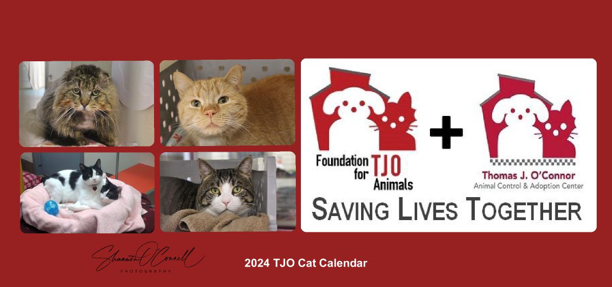 2024 TJO Cat Desk Calendar