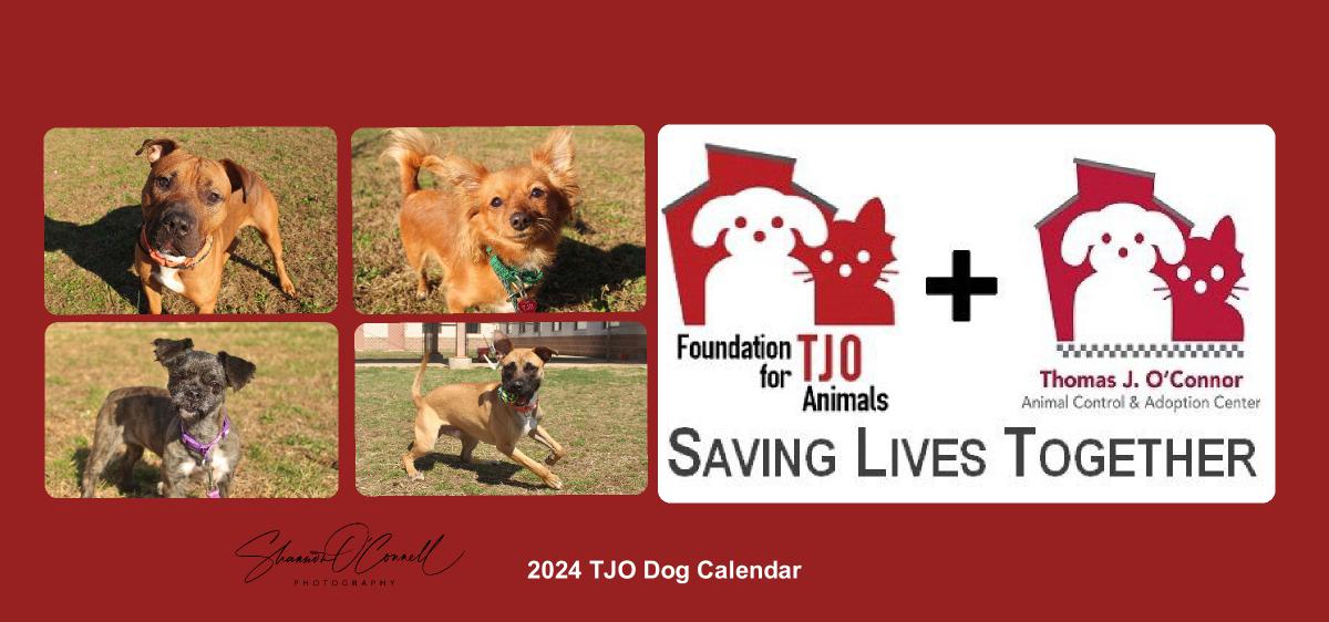 2024 TJO Dog Desk Calendar