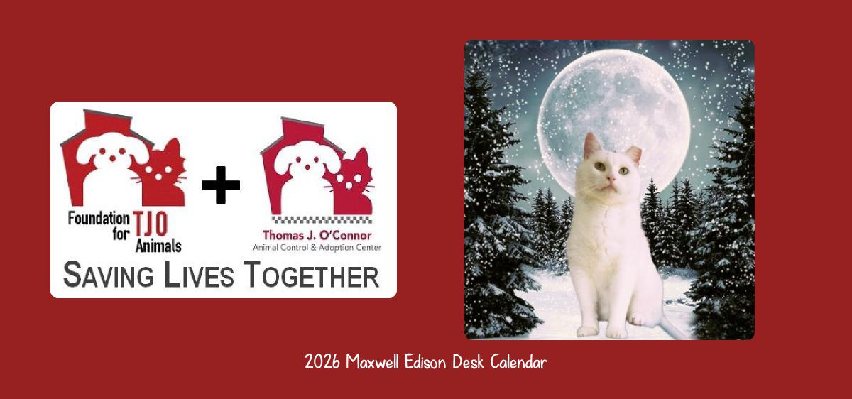 2026 Maxwell Edison Desk Calendar