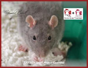 2024 Small Animal Wall Calendar