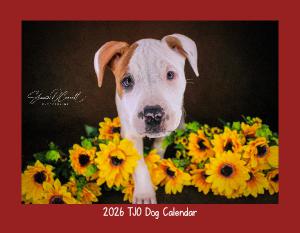 2026 TJO Dog Wall Calendar