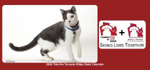 2024 Toto the Tornado Kitten Desk Calendar