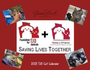 2023 TJO Cat Wall Calendar