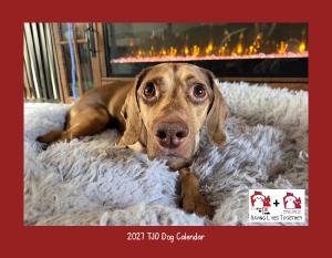 2027 TJO Dog Wall Calendar