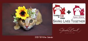 tjofoundation