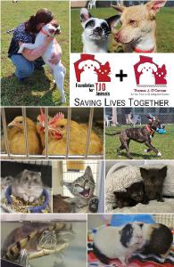 tjofoundation