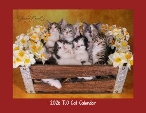 2026 Cat Wall Calendar
