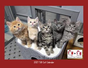 2027 TJO Cat Wall Calendar