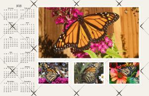 Marvelous Monarchs Calendar!