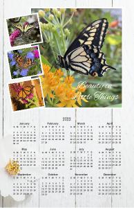 Beauty in Little Things Butterfly Calendar