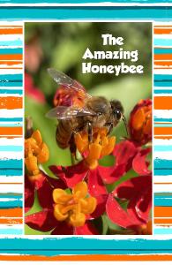 The Amazing Honeybee Kids Notebook!