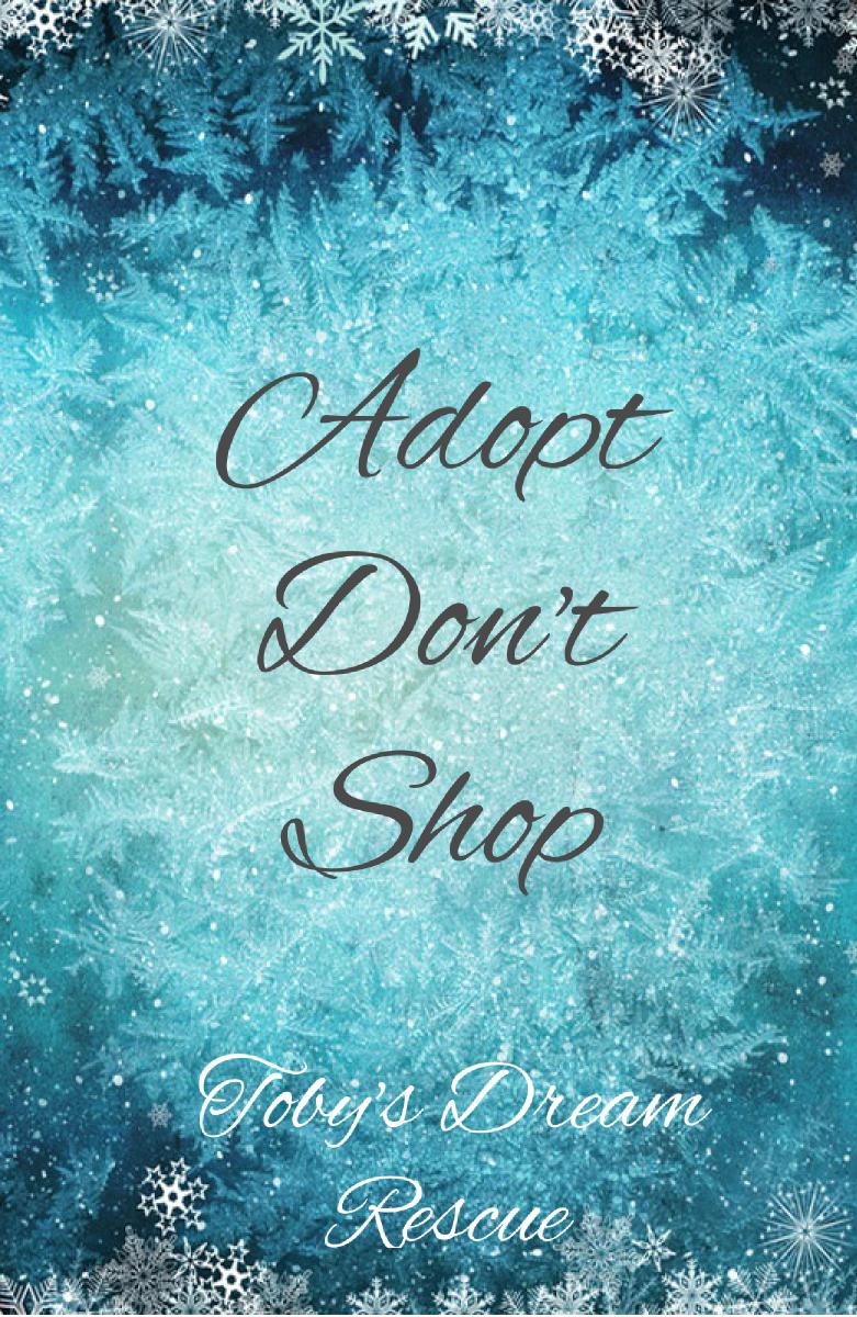 Adopt Dont Shop Notebook