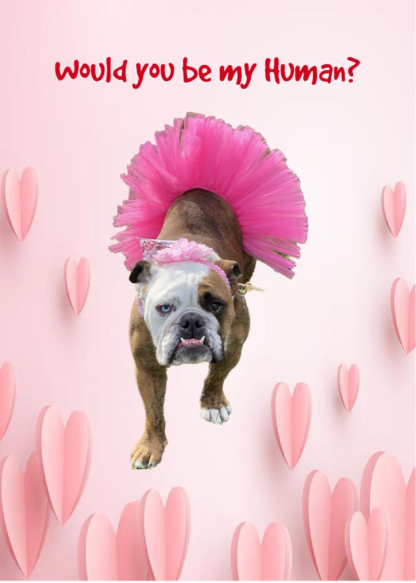 Valentine Card Lulu