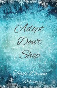 Adopt Dont Shop Notebook