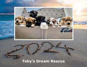 2024 Toby's Dream Rescue Calendar