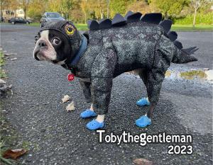 Toby The Gentleman 2023 Calendar