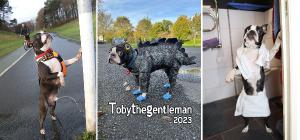 tobythegentleman