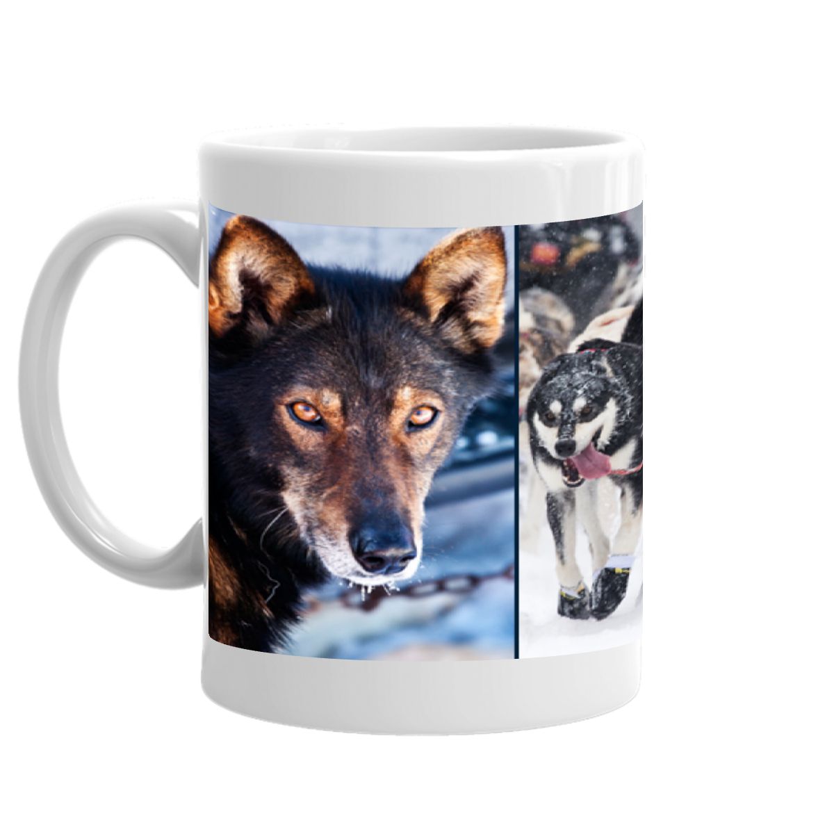 Sled Dog Energy