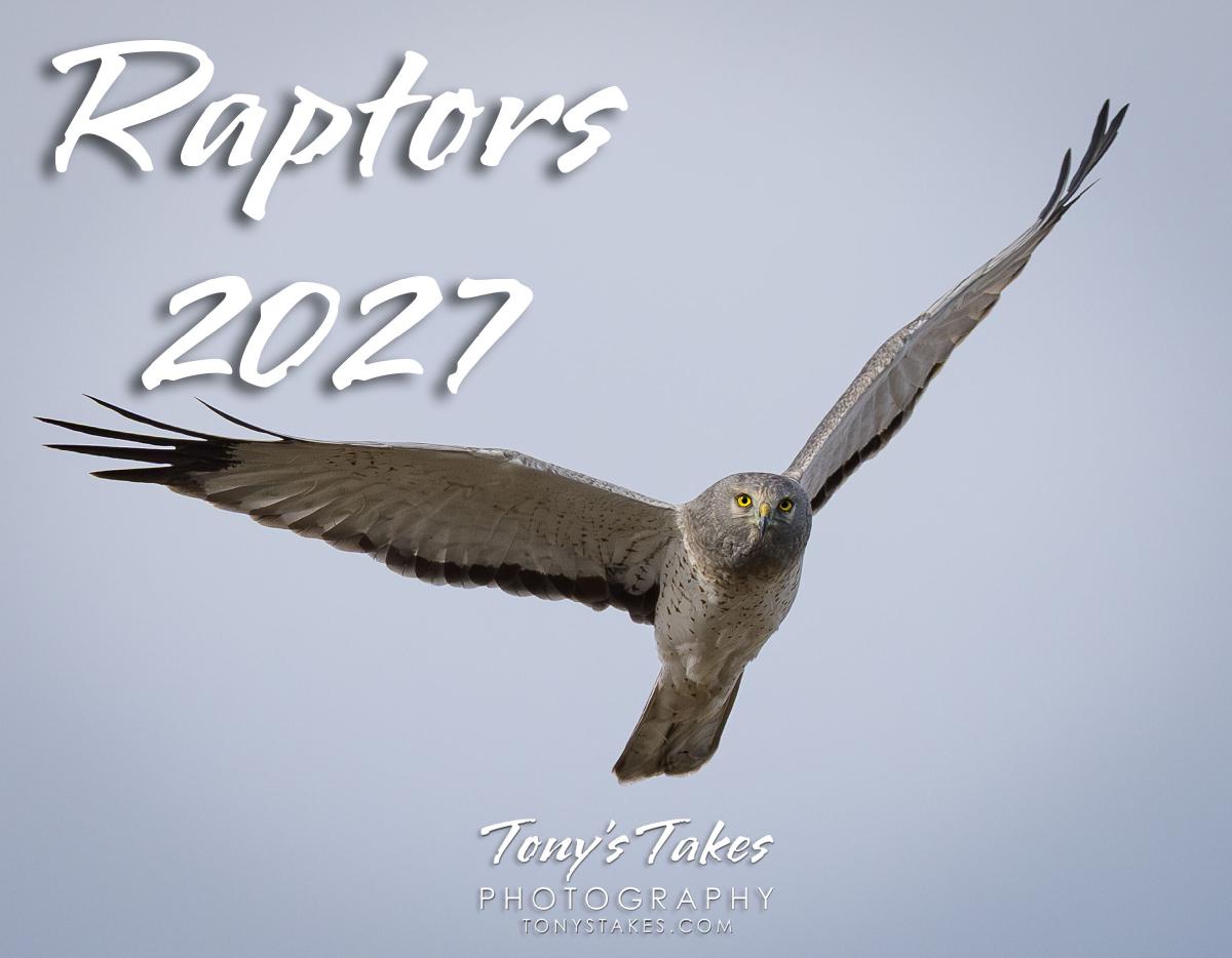 Raptors 2027