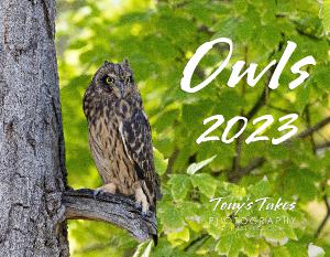 2023 Owls Calendar