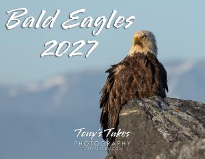 Bald Eagles 2027