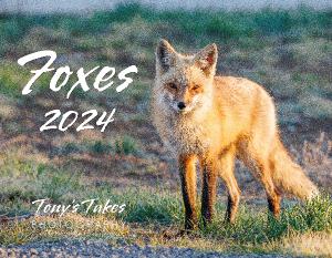 2024 Foxes Calendar