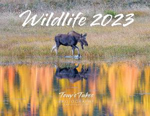 2023 Wildlife Calendar