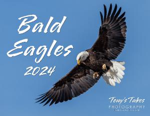 2024 Bald Eagles Calendar