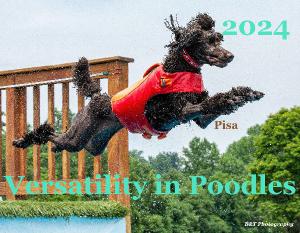 Versatility in Poodles