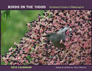 Birds in the Hood: Feathered Friends in Philly
