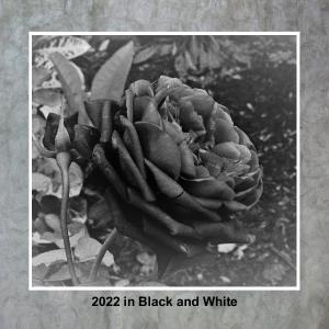 Black and white 12x12