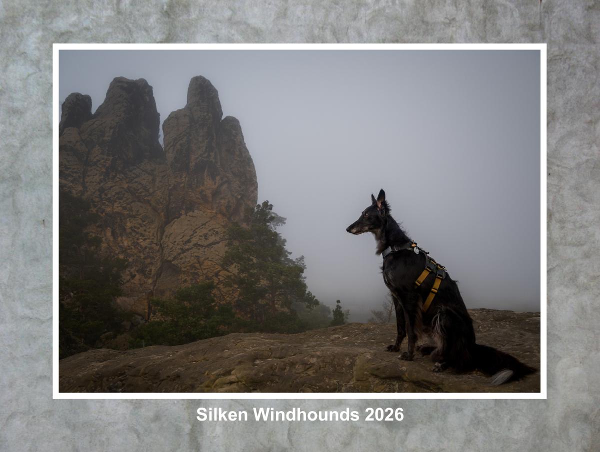 2026 Silken Windhound Calendar