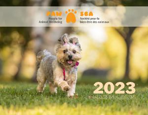 2023 Pets In Action Calendar