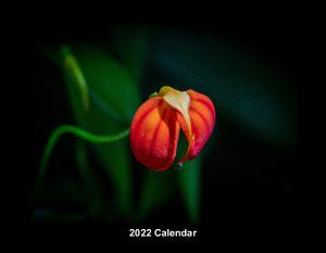 2022 - Flowers of Singapore