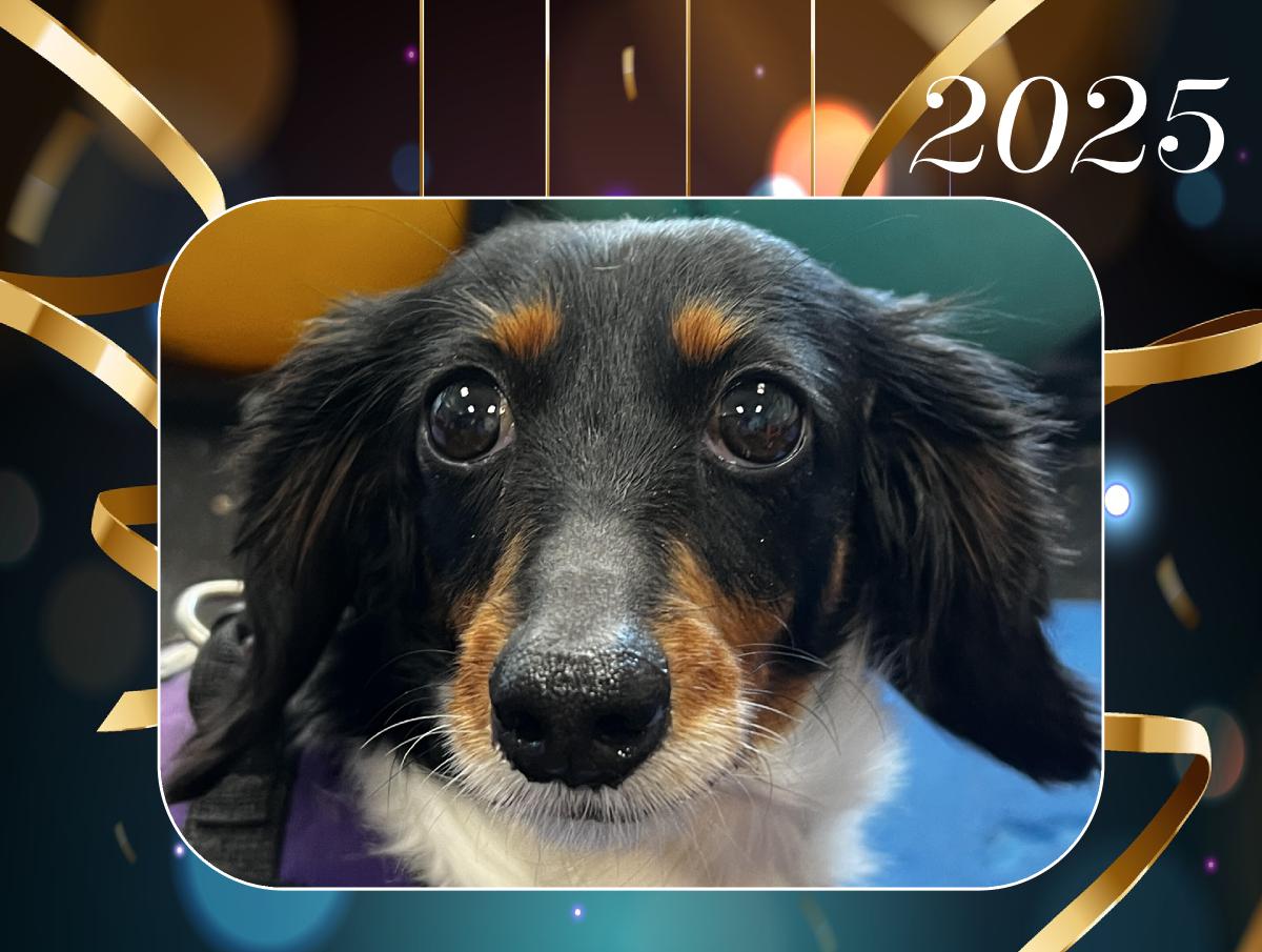 2025 ATDR Wall Calendar