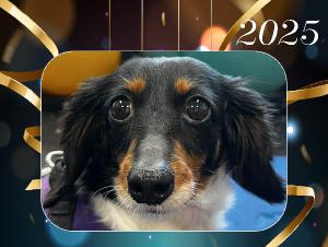2025 ATDR Wall Calendar