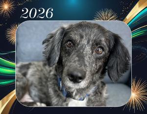 2026 ATDR Wall Calendar