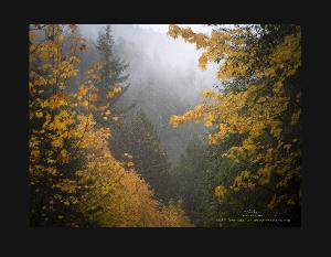 2026 Oregon Landscapes Calendar