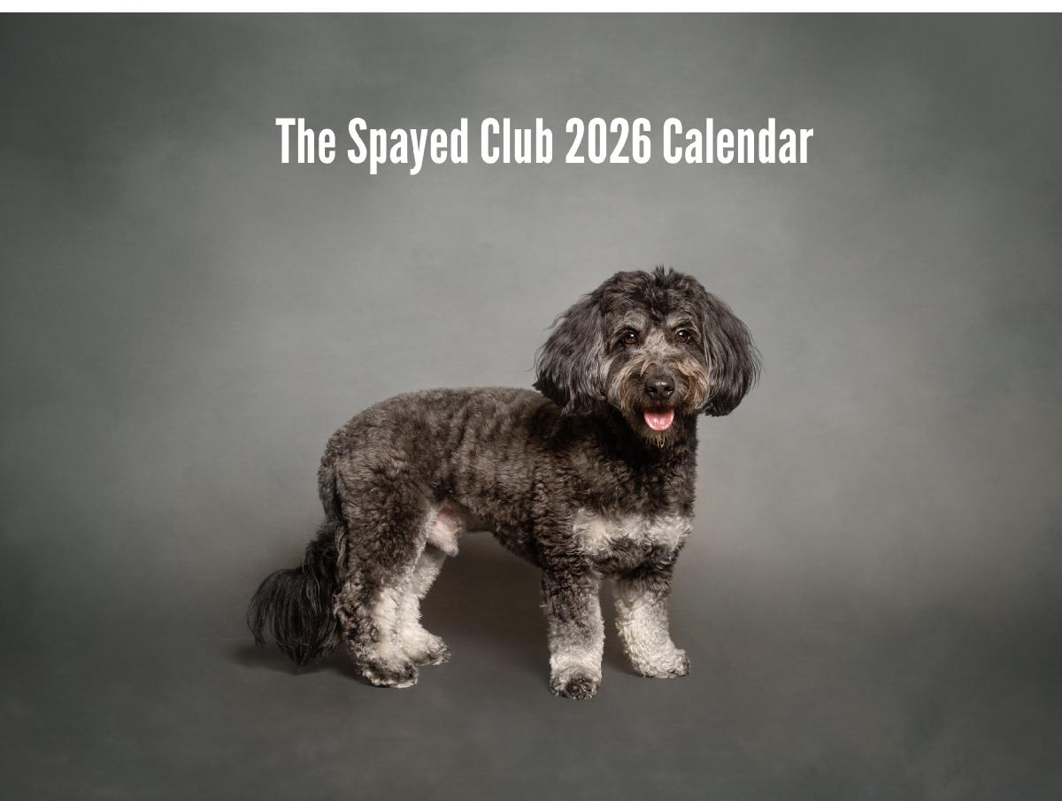2026 Calendar